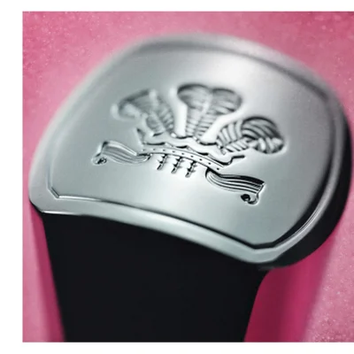Close-up of a shiny silver cap with the Prince of Waless feathers emblem on it against a pink background.