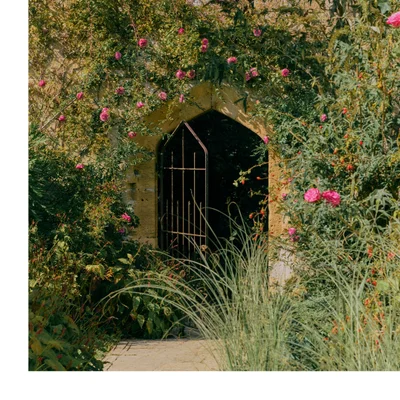 Stone garden arch with iron gate surrounded by pink roses and greenery in sunlight.