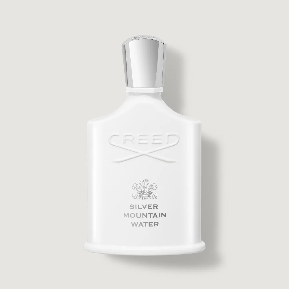 Silver Mountain Water 100ml Bild 1