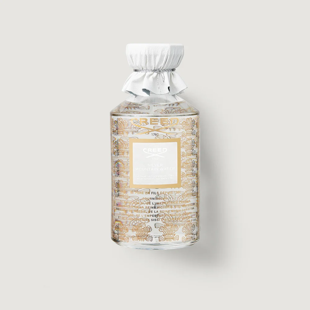 Silver Mountain Water 490ml Bild 1