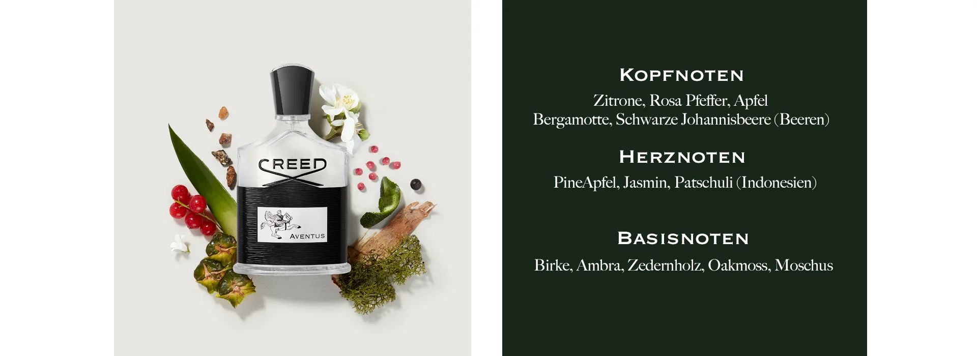 Kopfnoten: Zitrone, Rosa Pfeffer, Apfel, Bergamote, Schwarze Johannisbeere (Beeren). Herznoten: PineApfel, Jasmin, Patschilli (Indonesien). Baisnoten: Birke, Ambre, Zedernholz, Oakmoss, Moschus.