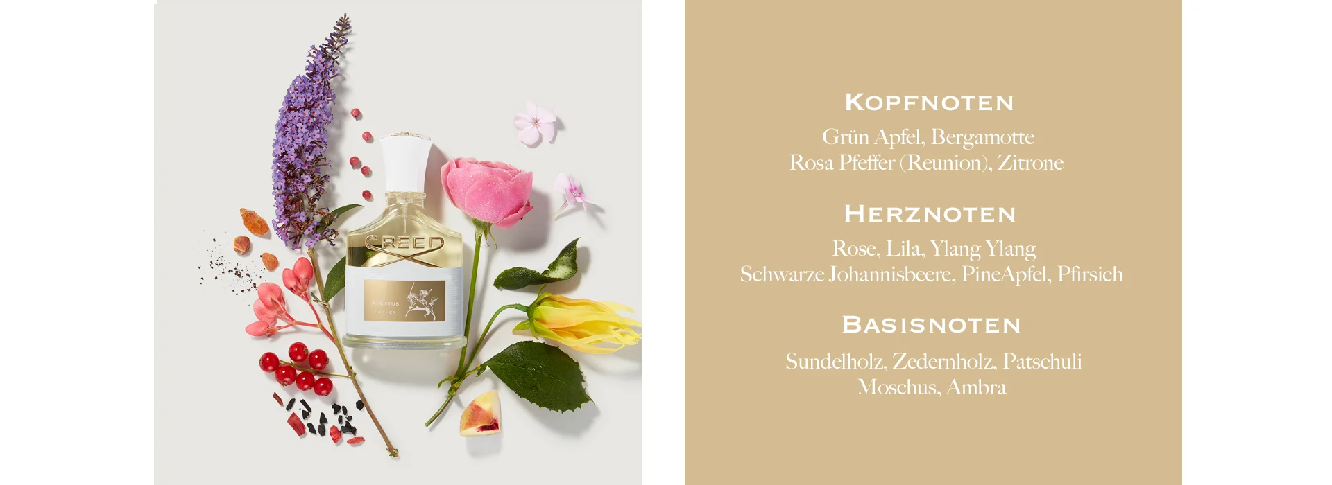 Kopfnoten: Grun Apfel, Bergamotte, Rosa Pfeffer (Reunion), Zitrone. Herznoten: Rose, Lila, Ylang Ylang, Schwarze Johannisbeere, PineApfel, Pfirsich. Baisnoten: Sundelholz, Zedernholz, Patschuli, Moschus, Ambra.